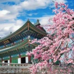 travelling-juan-destination-travel-korea