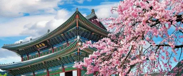travelling-juan-destination-travel-korea